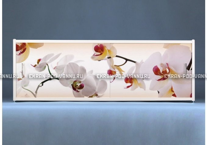Раздвижной ФОТО экран - Orchid – купить по цене 8500 руб. в интернет-магазине в городе Нижний Новгород картинка 1