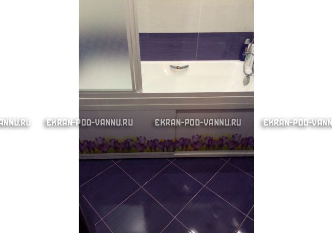 Экран на роликах EUROPLEX  Ирисы – купить по цене 12400 руб. в интернет-магазине в городе Нижний Новгород картинка 4