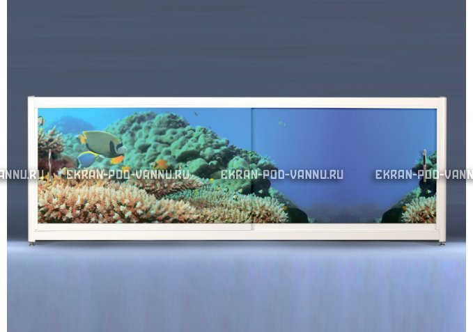 Экран на роликах EUROPLEX Коралловые рифы – купить по цене 12400 руб. в интернет-магазине в городе Нижний Новгород картинка 1