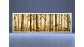 Раздвижной ФОТО экран - Bamboo – купить по цене 8500 руб. в интернет-магазине в городе Нижний Новгород картинка 3