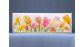 Раздвижной ФОТО экран - Тюльпаны – купить по цене 8500 руб. в интернет-магазине в городе Нижний Новгород картинка 3