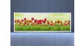 Раздвижной ФОТО экран - Весна – купить по цене 8500 руб. в интернет-магазине в городе Нижний Новгород картинка 8