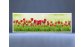 Раздвижной ФОТО экран - Весна – купить по цене 8500 руб. в интернет-магазине в городе Нижний Новгород картинка 3