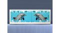 Экран на роликах EUROPLEX  Дельфины – купить по цене 12400 руб. в интернет-магазине в городе Нижний Новгород картинка 15