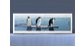 Экран на роликах EUROPLEX Пингвины – купить по цене 12400 руб. в интернет-магазине в городе Нижний Новгород картинка 4