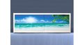 Экран на роликах EUROPLEX Пляж – купить по цене 12400 руб. в интернет-магазине в городе Нижний Новгород картинка 11