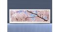Экран на роликах EUROPLEX Цветущий Сад – купить по цене 12400 руб. в интернет-магазине в городе Нижний Новгород картинка 11