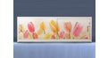 Экран на роликах EUROPLEX Тюльпаны – купить по цене 12400 руб. в интернет-магазине в городе Нижний Новгород картинка 11